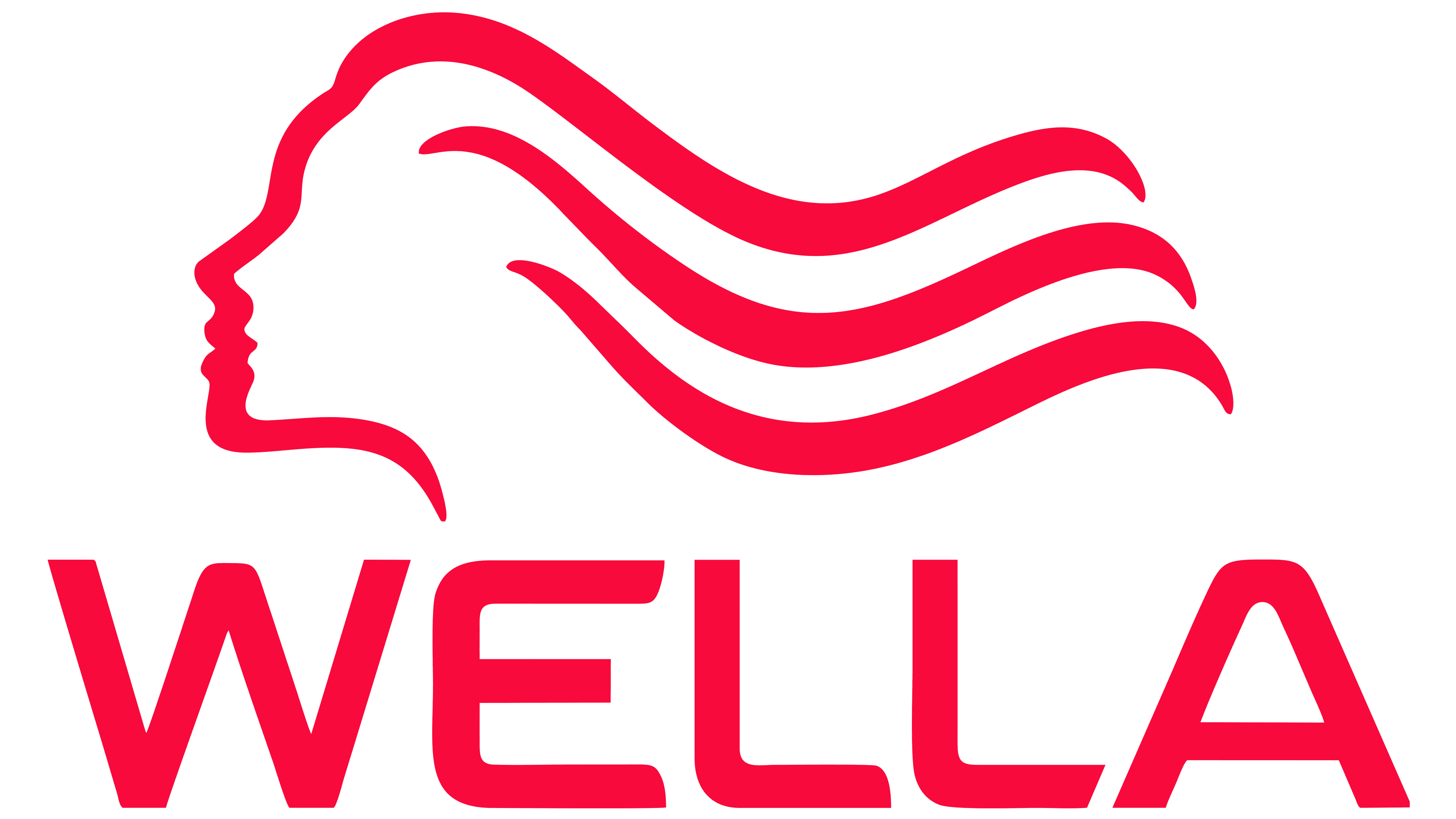 Wella-Logo.png